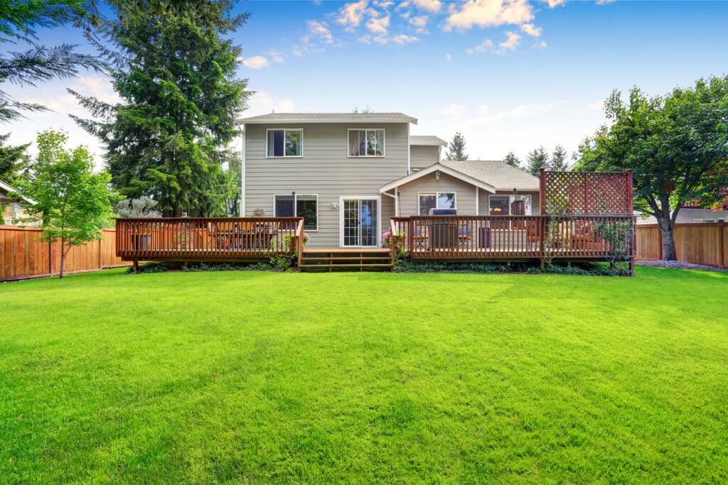Back yard with green grass
