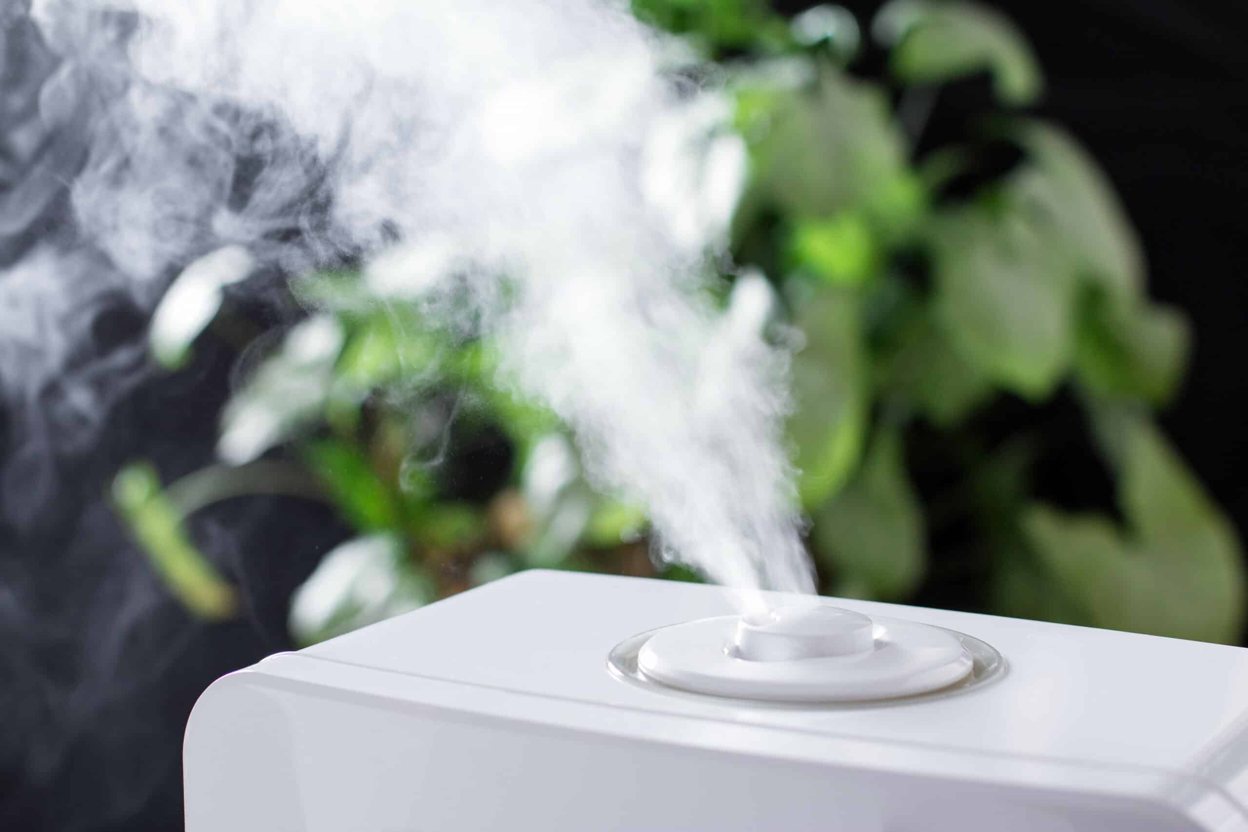 Humidifier with vapor in Colorado Springs, CO.